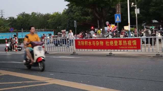  基孔肯雅热病例为何突然激增？科学解析广东当前的防控挑战 健康养生