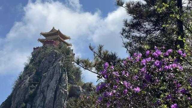 热门景区预约率激增:深度解析“限流”背后的资源承载力危机 文化旅游