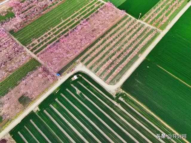 春风十里不如你：走进那片让无数人心动的桃花源