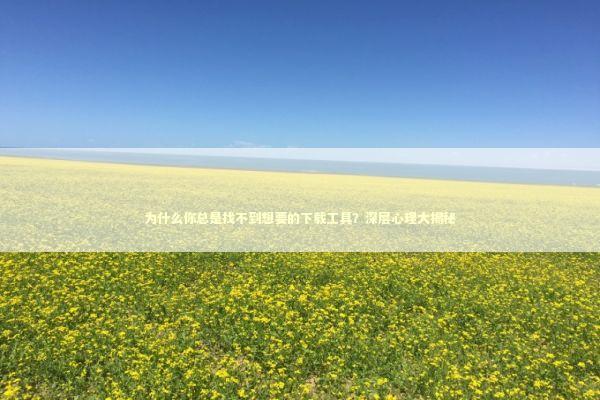 为什么你总是找不到想要的下载工具？深层心理大揭秘