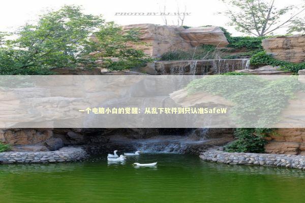 一个电脑小白的觉醒：从乱下软件到只认准SafeW IT技术
