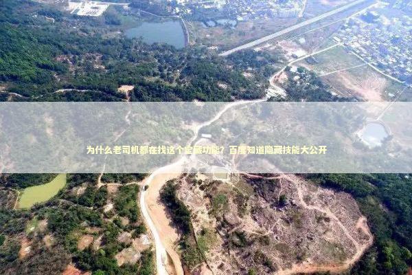 为什么老司机都在找这个宝藏功能？百度知道隐藏技能大公开 IT技术