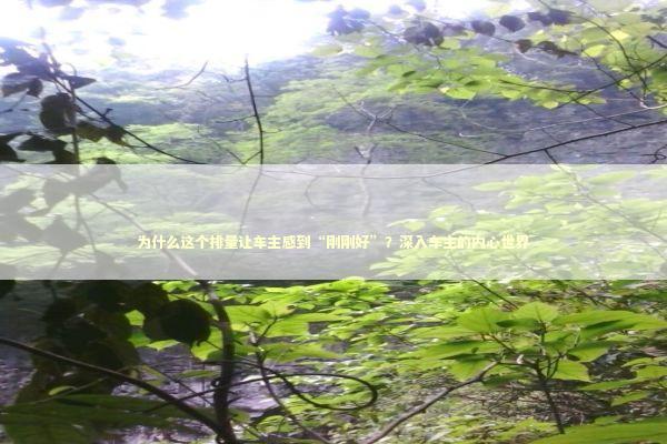 为什么这个排量让车主感到“刚刚好”？深入车主的内心世界 汽车科技